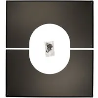 00000020126