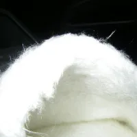 00000021890