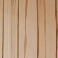 00000020317