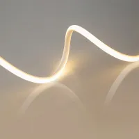 00000018319