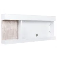 00000021704