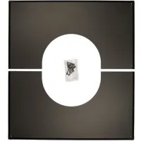 00000021826
